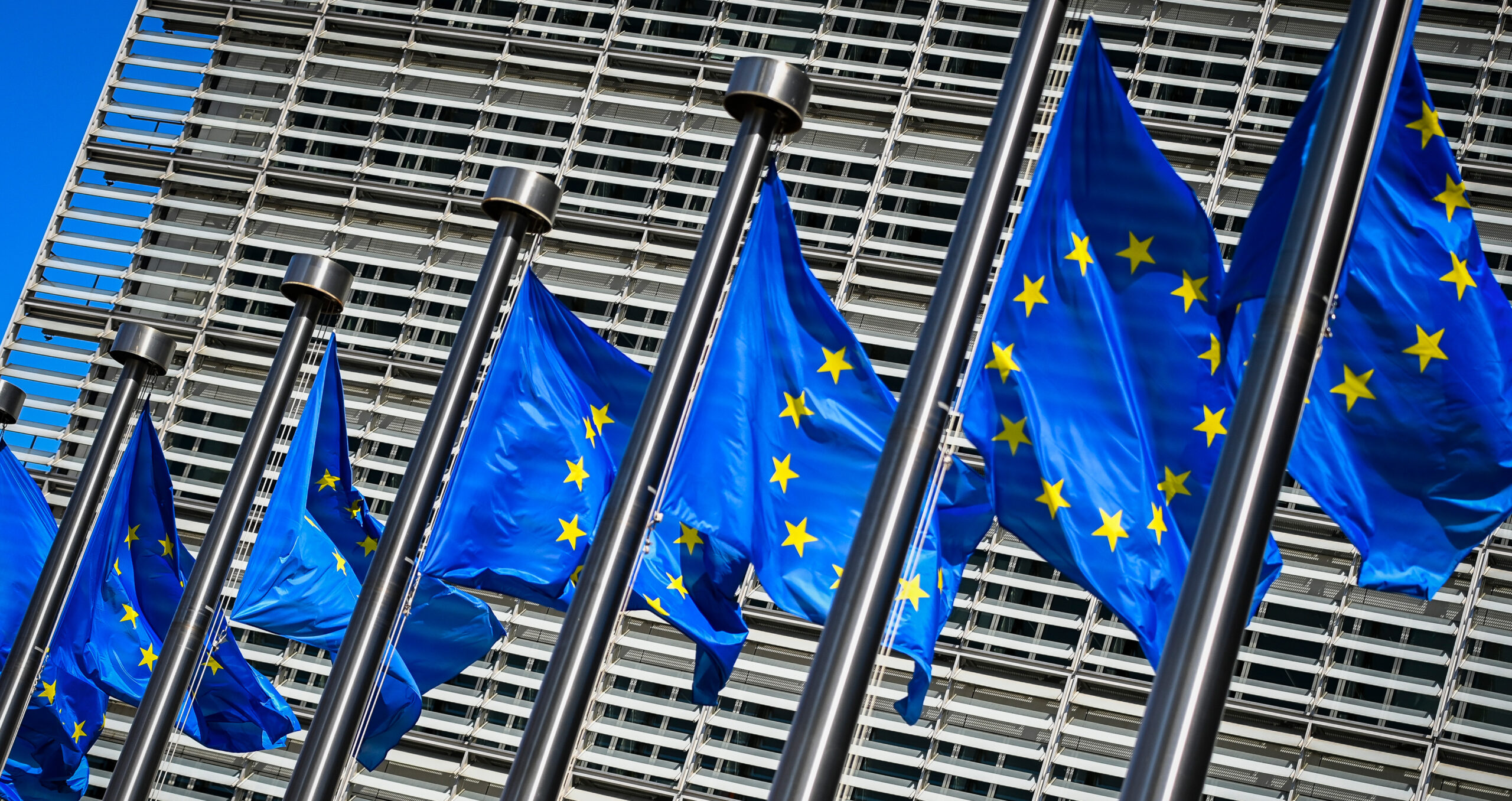 EU flags in Brussels: energy ministers agreed on the alternative fuel infrastructure regulation, designed to ensure sufficient recharging capacity  (Photo: Laurie Dieffembacq/Belga Mag/AFP via Getty Images) 