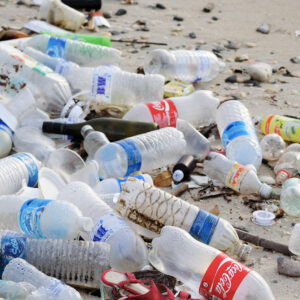 Ocean pollution, plastic