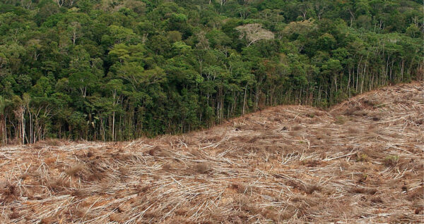 Deforestation Amazon region, Brazil