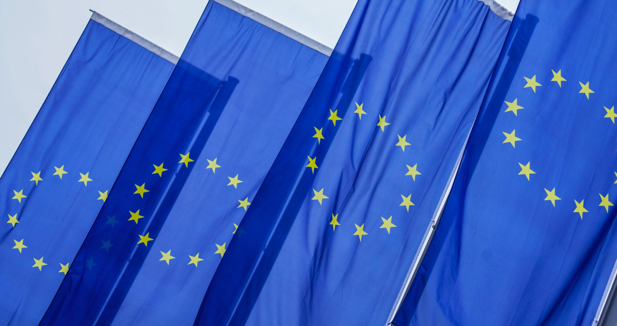 Responses to the European Commission consultation have urged that the forthcoming standards work with other regimes and the system is streamlined (Photo: Andreas Arnold/Bloomberg) 