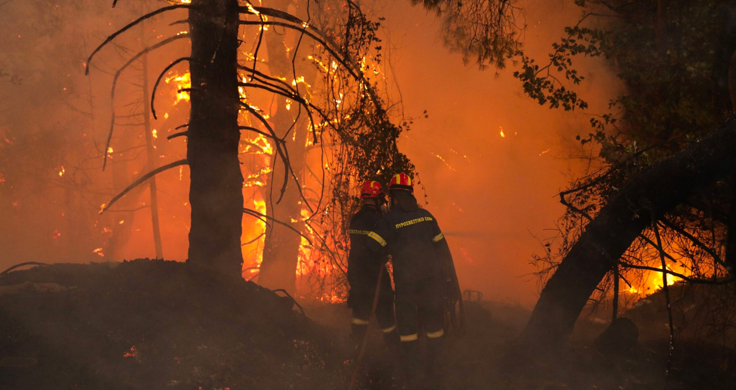 A wildfire in Greece. Non-profits say that, as insurers feel the hit of claims arising from climate catastrophes, the need for regulation that steers the industry away from risky fossil fuel activities could not be clearer (Photo: Konstantinos Tsakalidis/Bloomberg) 