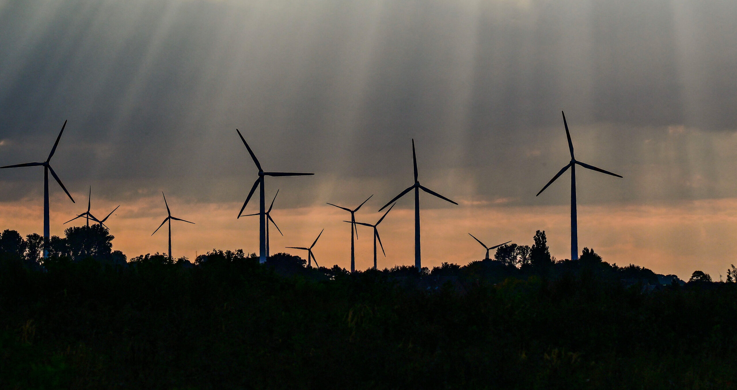 A successful UK clean energy transition is dependent on government, business and civil society working together effectively, according to a report by Energy UK and Oxford Economics (Photo: INA FASSBENDER/AFP via Getty Images) 