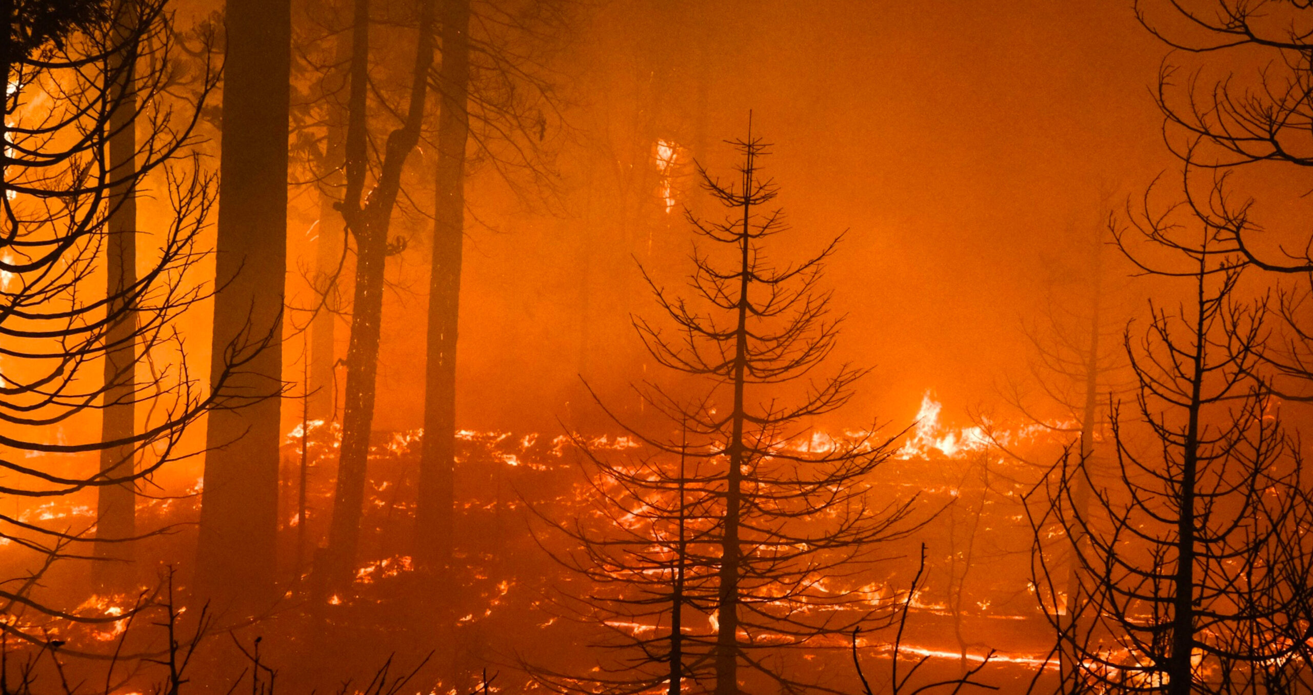 A wildfire in California, US. The IFRS standard S2 sets out sustainability-related disclosures for companies with a focus on climate.  (Photo: David Odisho/Bloomberg) 
