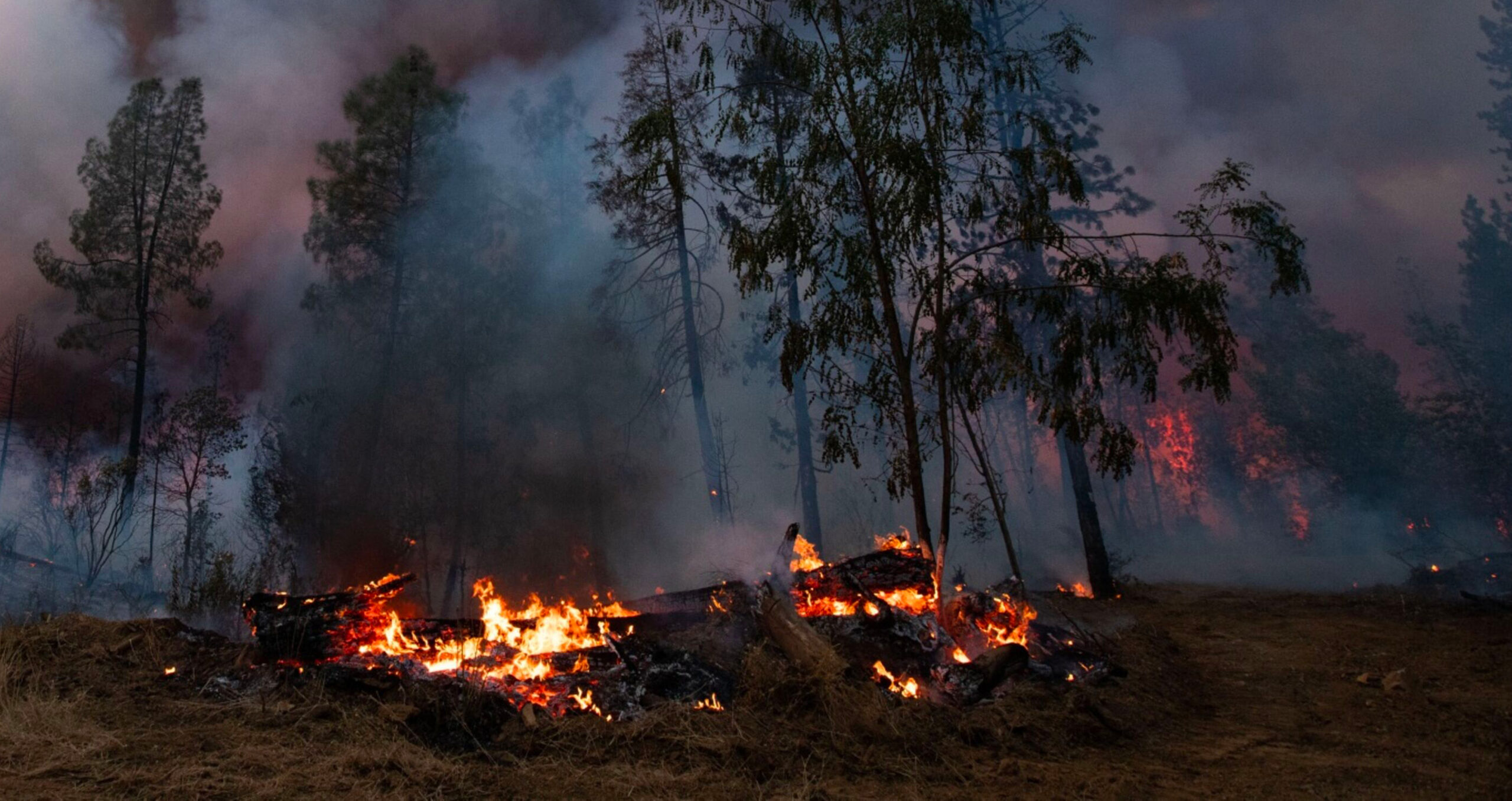 Wildfires and other unforeseen events can destroy an offsetting project, reversing the removal of carbon emissions in the process. (Photo: Benjamin Fanjoy/Bloomberg) 