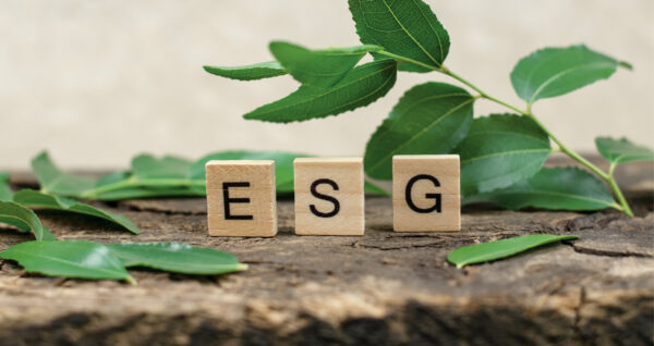 ESG abbreviation on wooden cubes