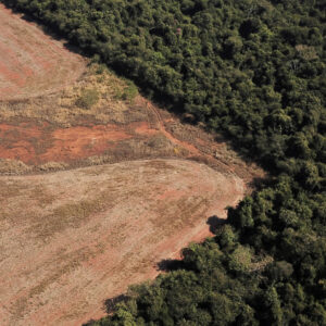 Deforestation Amazon region in Brazil