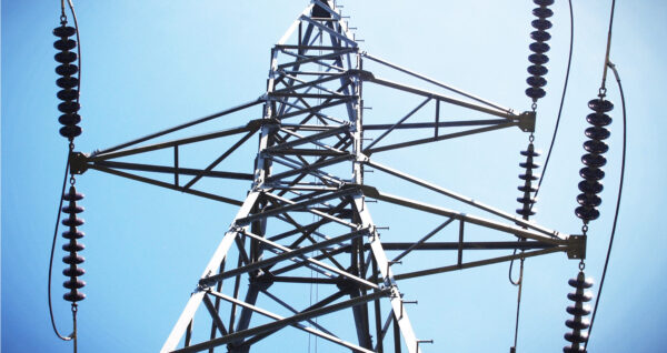 Electricity grid pylon