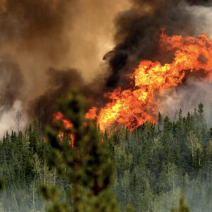 Wildfires in Canada July 2023