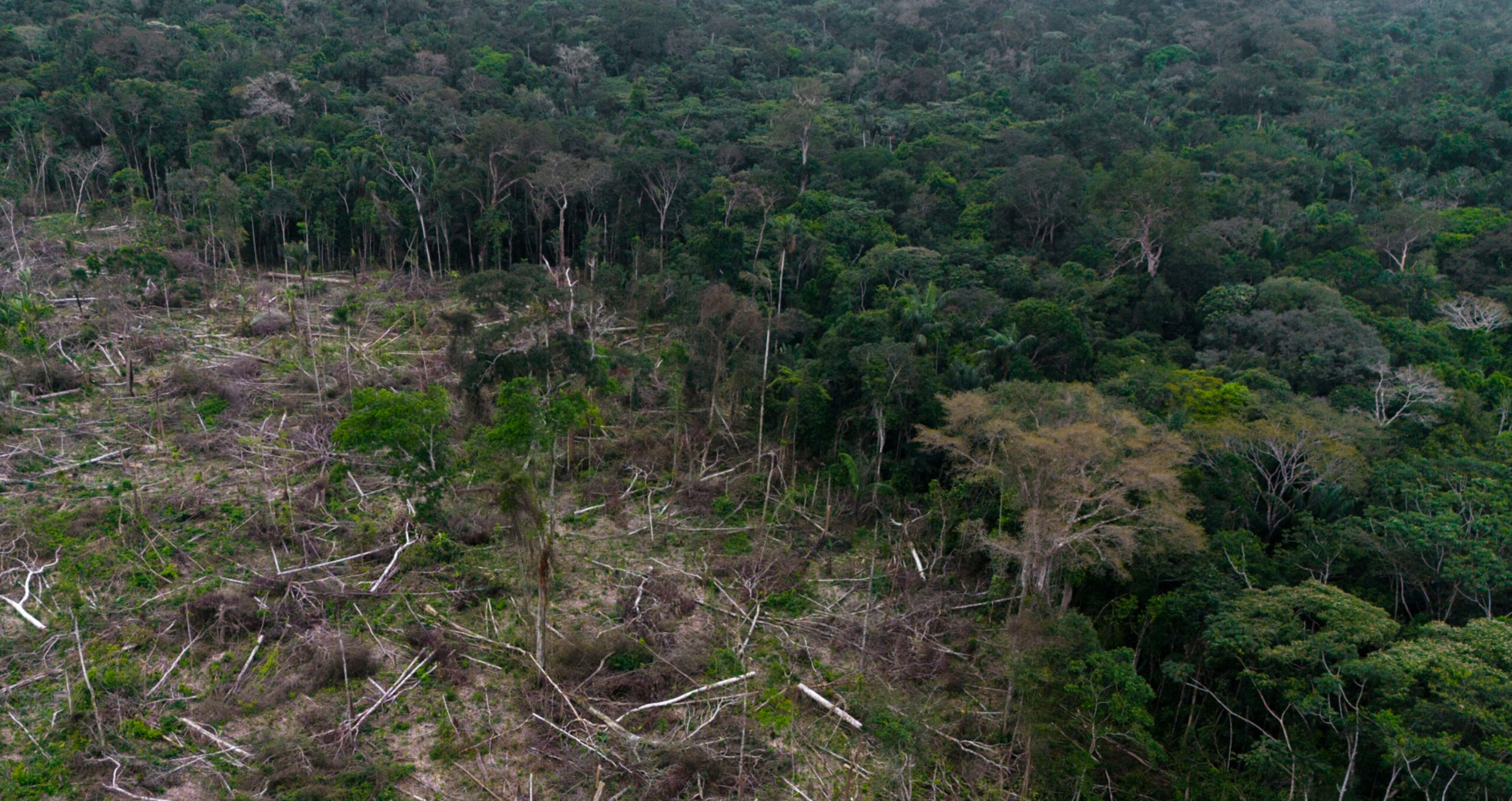 Deforestation in Colombia. The UK government pledged in the Environment Act 2021 to establish a framework mandating forest-based commodities to be certified as “sustainable” (Photo: Ivan Valencia/Bloomberg) 