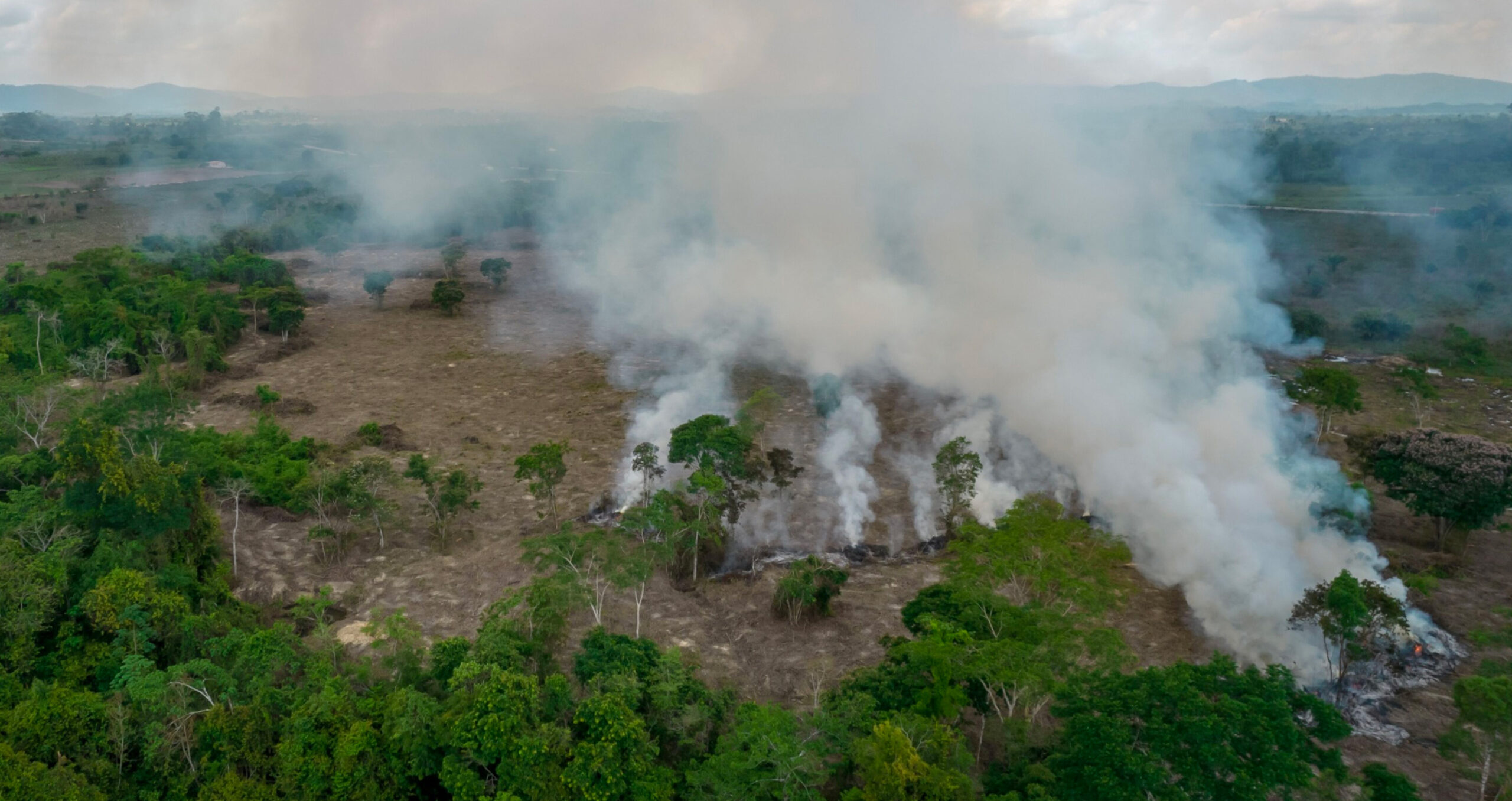 Fires burn Brazil’s Amazon rainforest. The Global Canopy report calls for tough legislation against deforestation, which it says also goes hand-in-hand with human rights abuses. (Photo: Jonne Roriz/Bloomberg) 