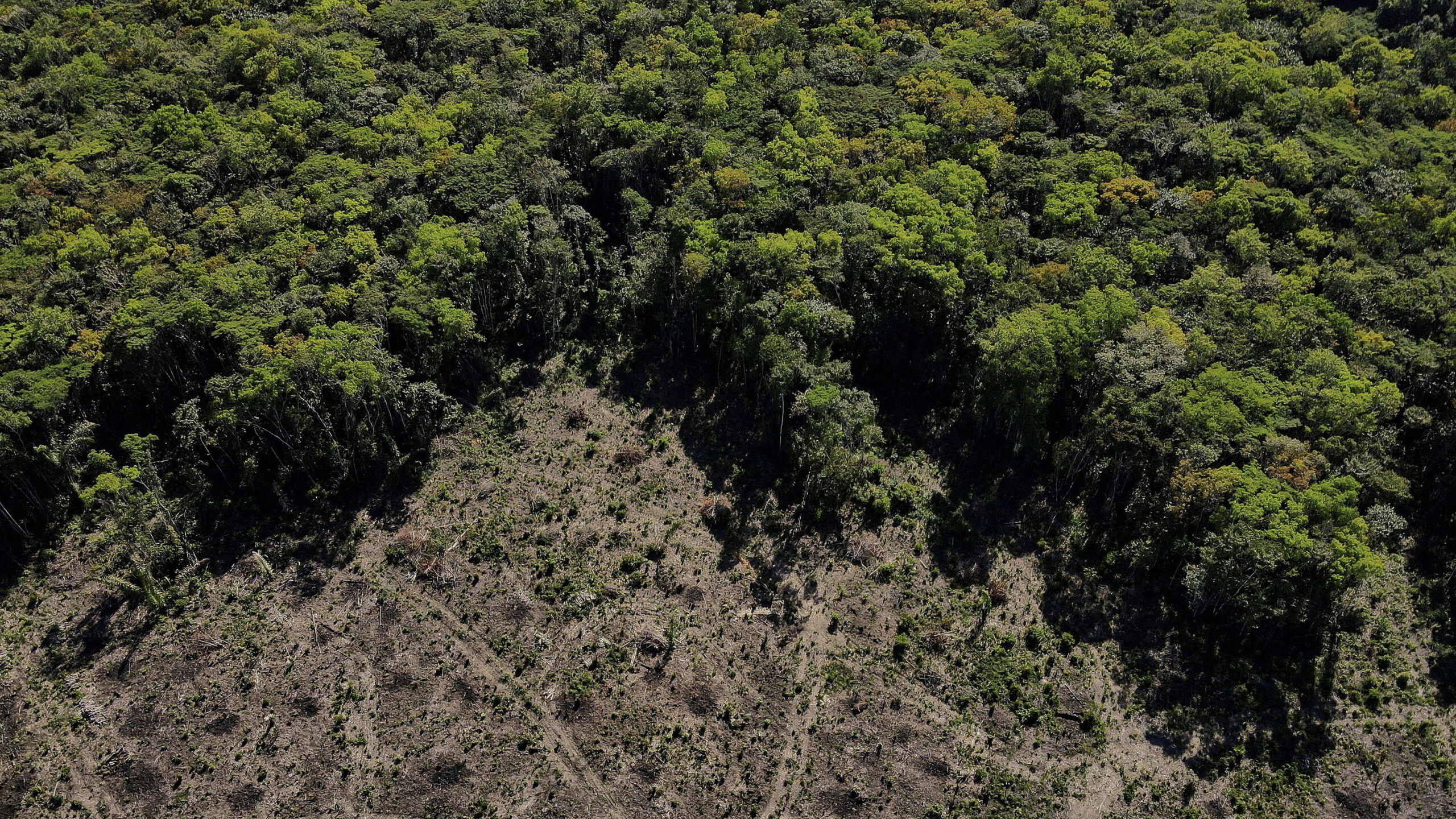 Deforestation in Amazon rainforest
