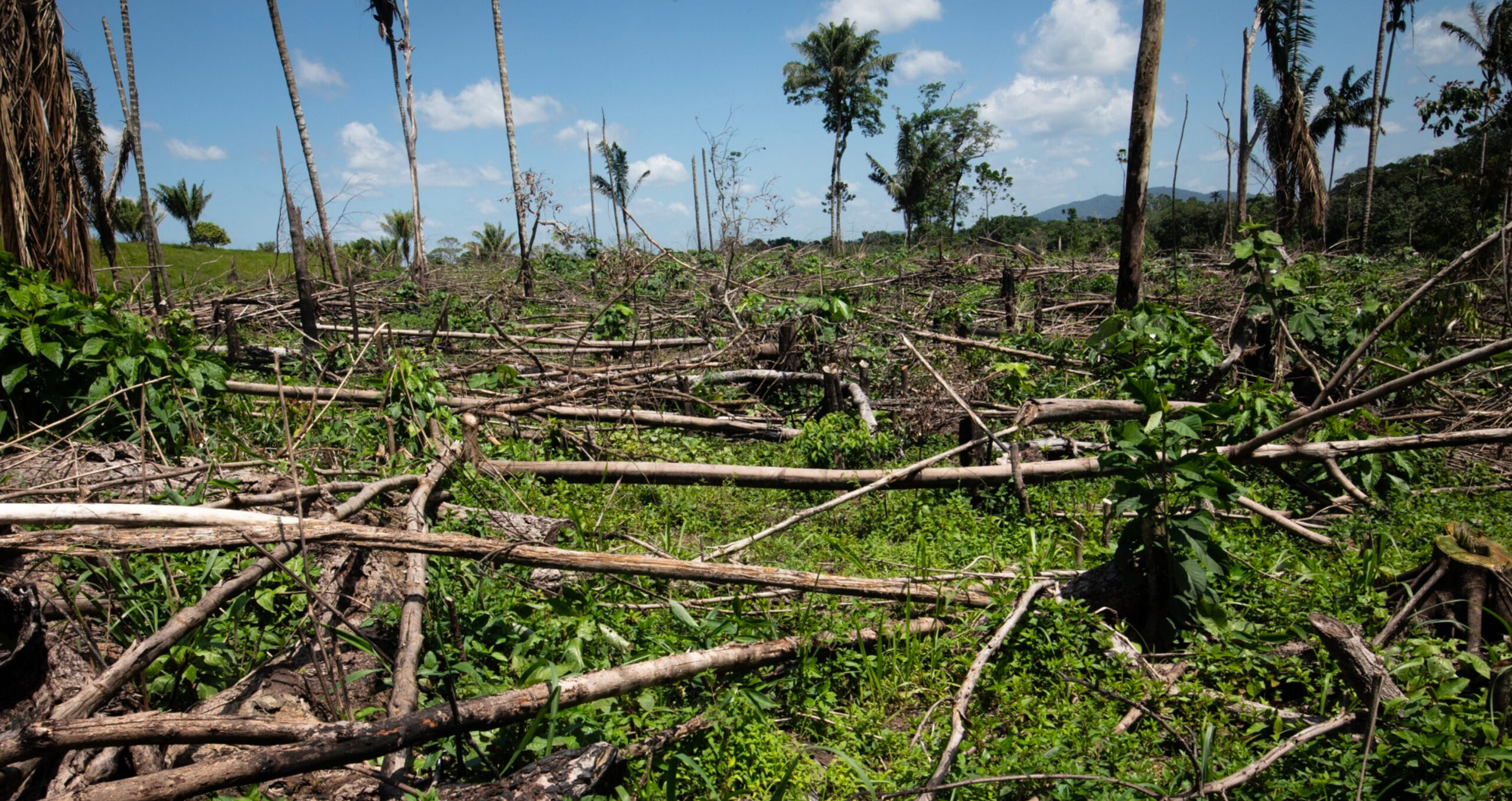 Discussions between sustainability professionals on a range of topics, from deforestation to child slavery and toxic pollution, often end up focusing on problems associated with defining and measuring indicators. (Photo: Ivan Valencia/Bloomberg) 