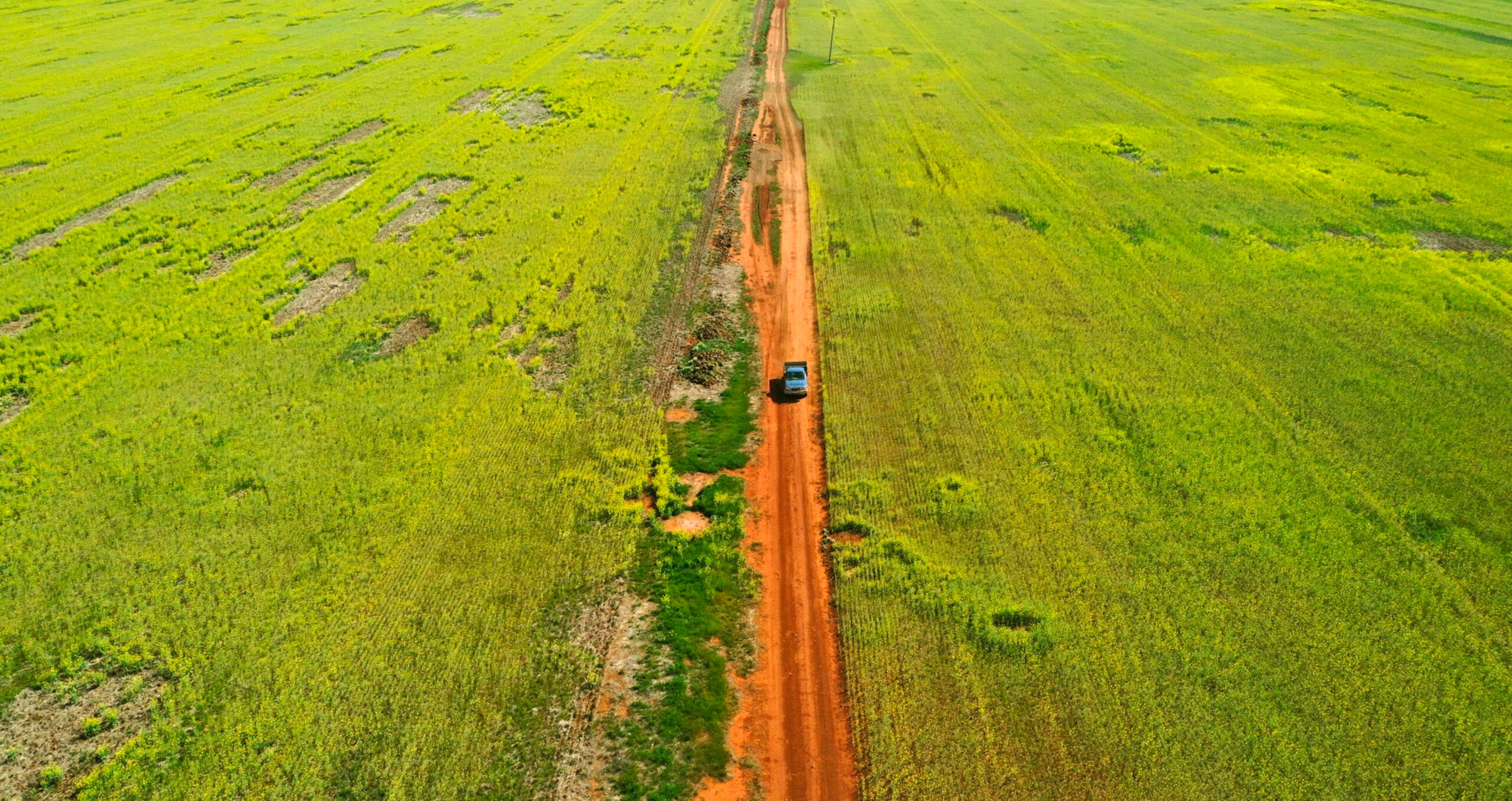 A canola farm in Australia. The government’s proposed integrated farm and land management methodology would combine various types of soil, vegetation and forest sequestration methods. (Photo: Carla Gottgens/Bloomberg) 