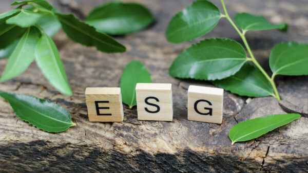 ESG abbreviation on wooden cubes and leaves